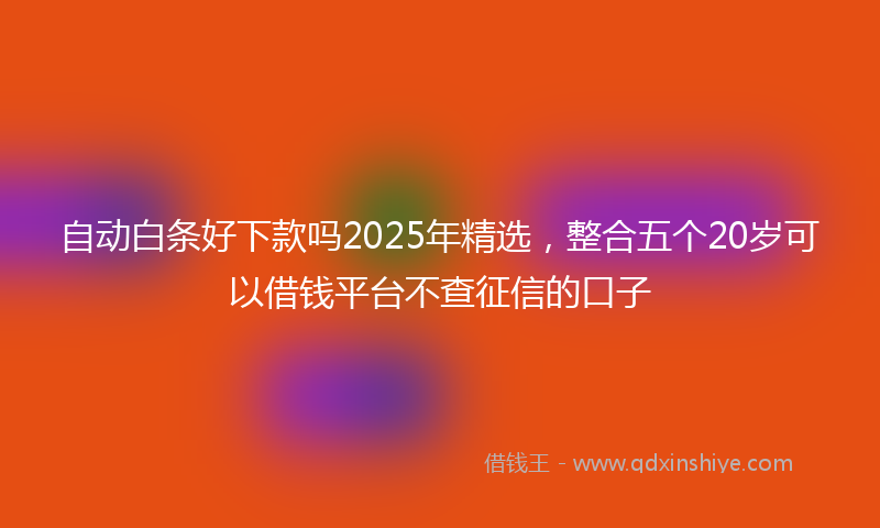 自动白条好下款吗2025年精选，整合五个20岁可以借钱平台不查征信的口子