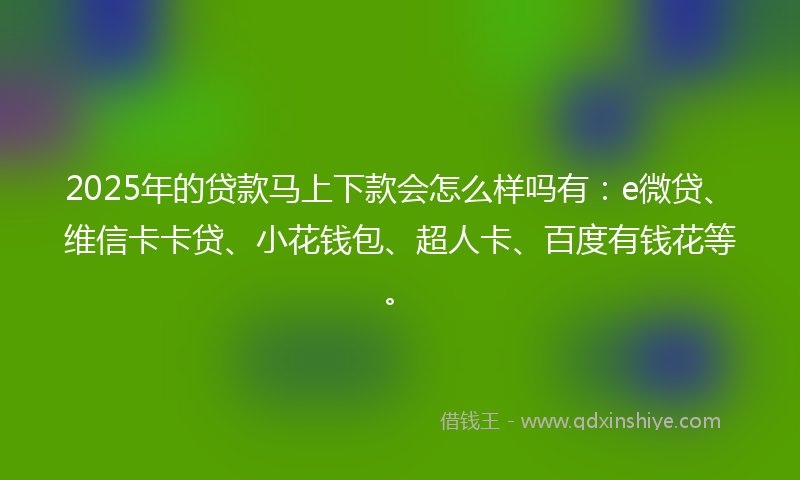 2025年的贷款马上下款会怎么样吗有：e微贷、维信卡卡贷、小花钱包、超人卡、百度有钱花等。