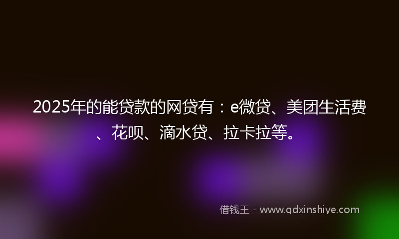 2025年的能贷款的网贷有：e微贷、美团生活费、花呗、滴水贷、拉卡拉等。
