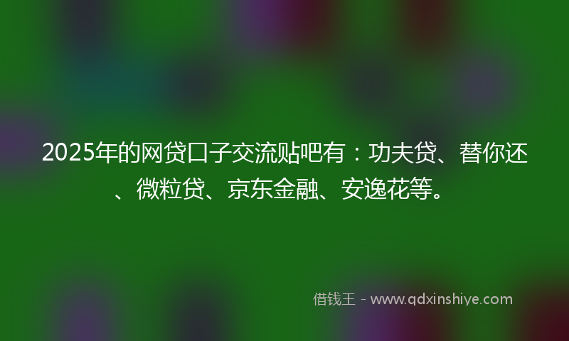 2025年的网贷口子交流贴吧有：功夫贷、替你还、微粒贷、京东金融、安逸花等。