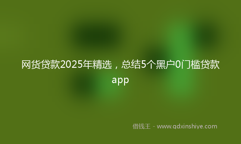 网货贷款2025年精选，总结5个黑户0门槛贷款app