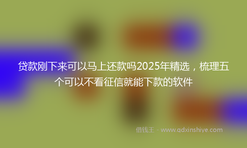 贷款刚下来可以马上还款吗2025年精选，梳理五个可以不看征信就能下款的软件