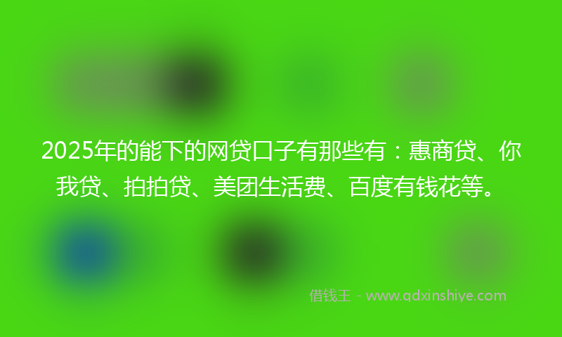 2025年的能下的网贷口子有那些有：惠商贷、你我贷、拍拍贷、美团生活费、百度有钱花等。