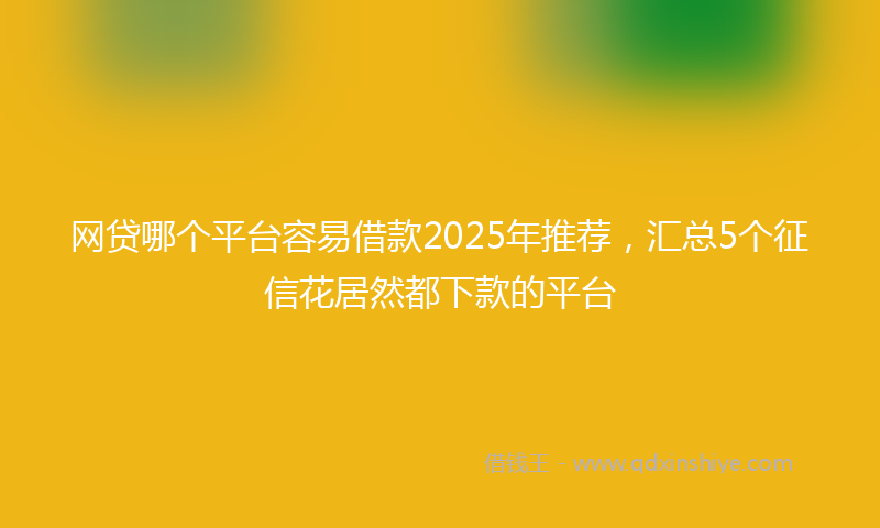 网贷哪个平台容易借款2025年推荐，汇总5个征信花居然都下款的平台