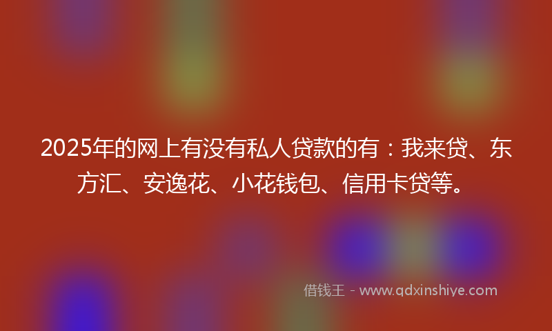 2025年的网上有没有私人贷款的有：我来贷、东方汇、安逸花、小花钱包、信用卡贷等。