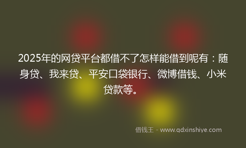 2025年的网贷平台都借不了怎样能借到呢有：随身贷、我来贷、平安口袋银行、微博借钱、小米贷款等。