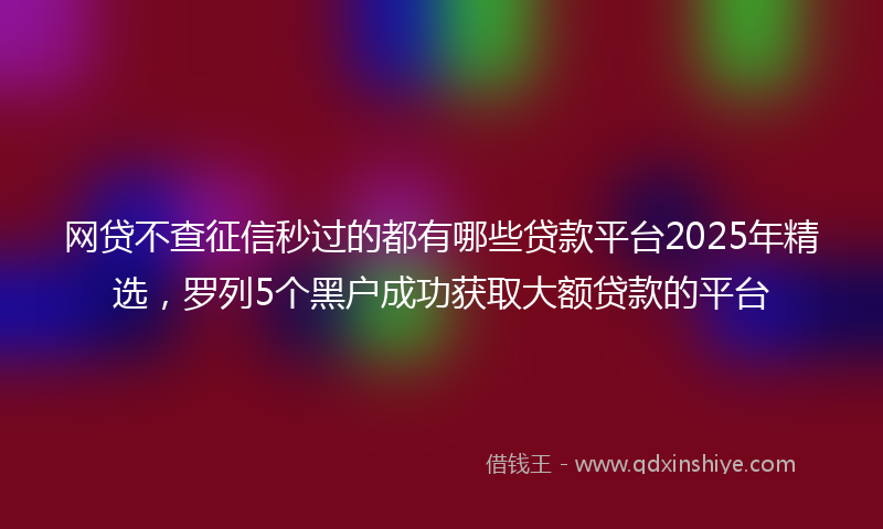 网贷不查征信秒过的都有哪些贷款平台2025年精选，罗列5个黑户成功获取大额贷款的平台
