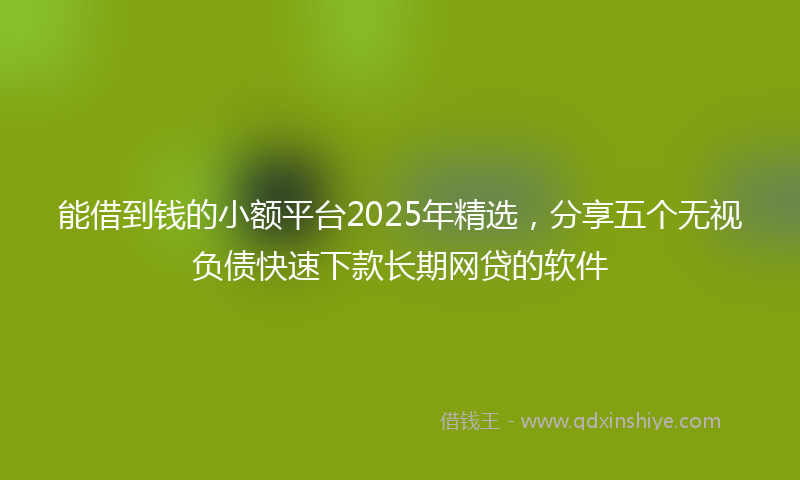 能借到钱的小额平台2025年精选，分享五个无视负债快速下款长期网贷的软件