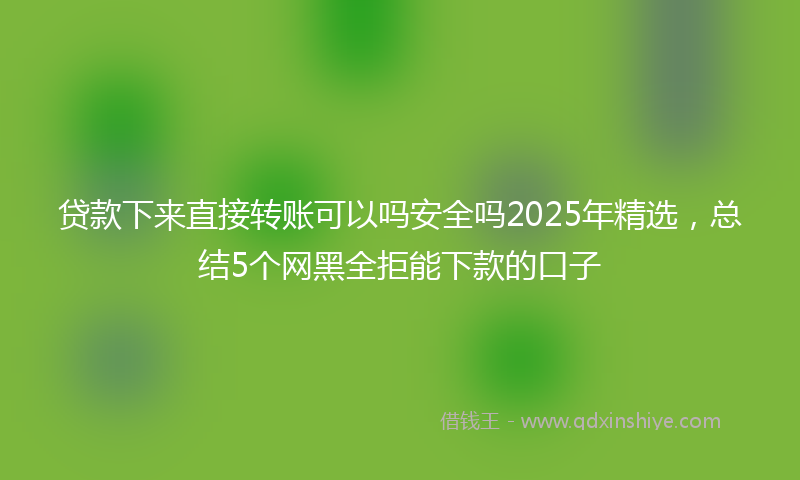 贷款下来直接转账可以吗安全吗2025年精选，总结5个网黑全拒能下款的口子