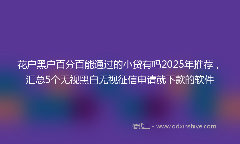 花户黑户百分百能通过的小贷有吗2025年推荐，汇总5个无视黑白无视征信申请就下款的软件
