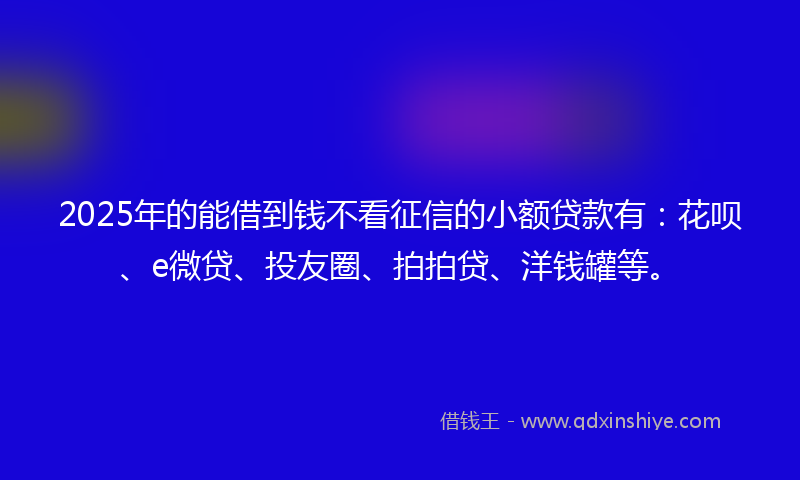 2025年的能借到钱不看征信的小额贷款有：花呗、e微贷、投友圈、拍拍贷、洋钱罐等。