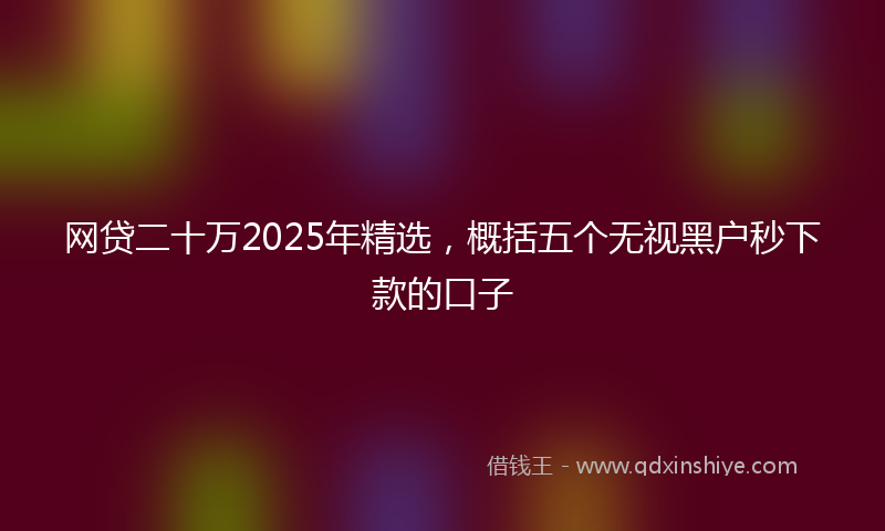 网贷二十万2025年精选，概括五个无视黑户秒下款的口子