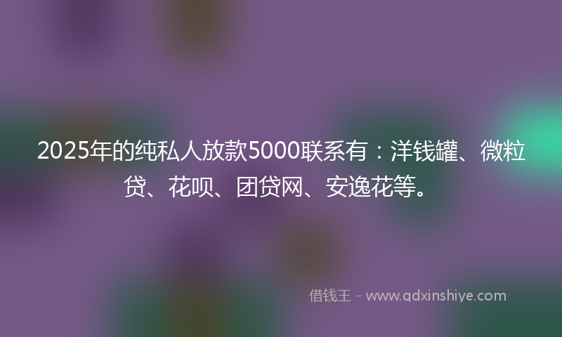2025年的纯私人放款5000联系有：洋钱罐、微粒贷、花呗、团贷网、安逸花等。