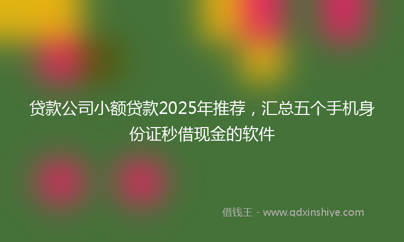 贷款公司小额贷款2025年推荐，汇总五个手机身份证秒借现金的软件