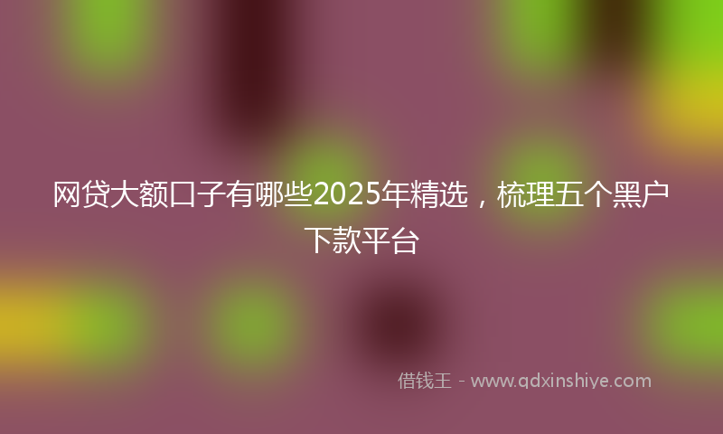 网贷大额口子有哪些2025年精选，梳理五个黑户下款平台