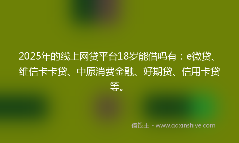 2025年的线上网贷平台18岁能借吗有：e微贷、维信卡卡贷、中原消费金融、好期贷、信用卡贷等。