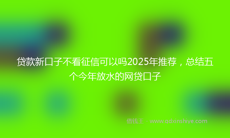 贷款新口子不看征信可以吗2025年推荐，总结五个今年放水的网贷口子