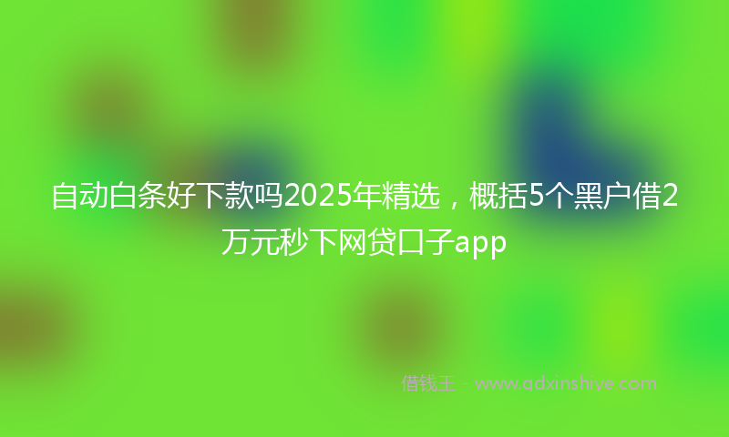 自动白条好下款吗2025年精选，概括5个黑户借2万元秒下网贷口子app