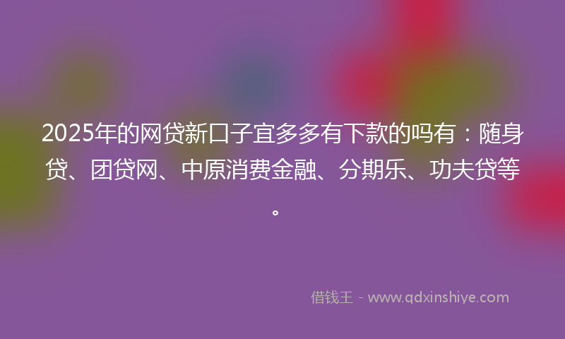2025年的网贷新口子宜多多有下款的吗有：随身贷、团贷网、中原消费金融、分期乐、功夫贷等。