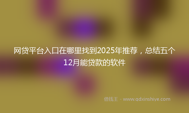 网贷平台入口在哪里找到2025年推荐，总结五个12月能贷款的软件
