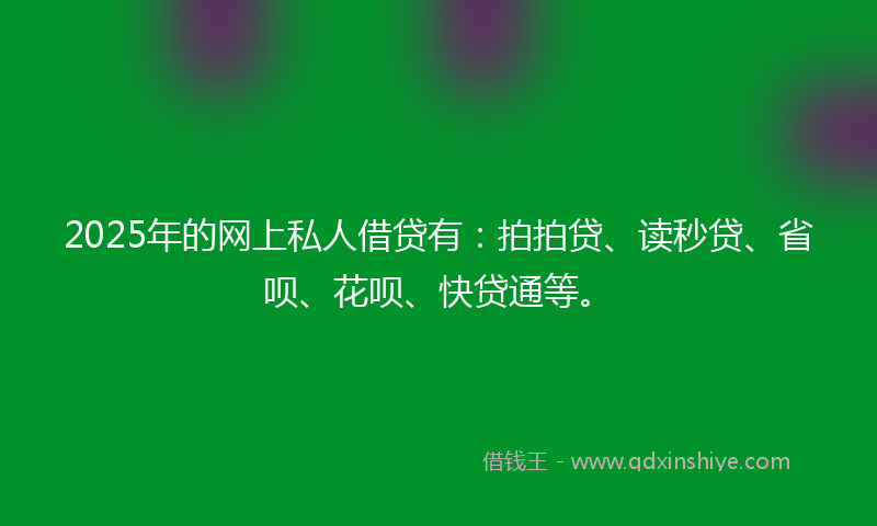 2025年的网上私人借贷有：拍拍贷、读秒贷、省呗、花呗、快贷通等。
