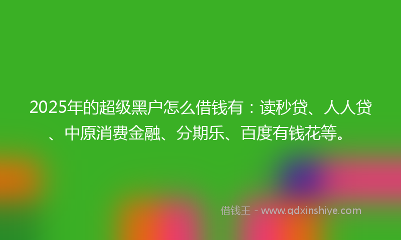 2025年的超级黑户怎么借钱有：读秒贷、人人贷、中原消费金融、分期乐、百度有钱花等。