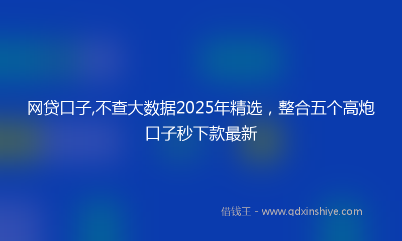 网贷口子,不查大数据2025年精选，整合五个高炮口子秒下款最新
