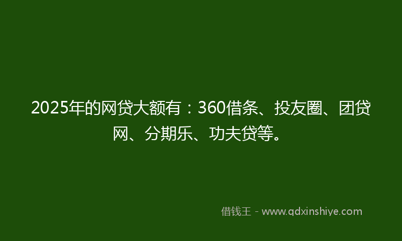 2025年的网贷大额有：360借条、投友圈、团贷网、分期乐、功夫贷等。
