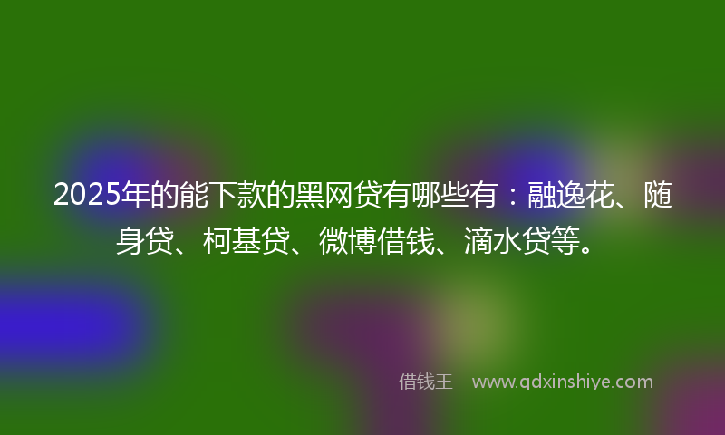 2025年的能下款的黑网贷有哪些有：融逸花、随身贷、柯基贷、微博借钱、滴水贷等。