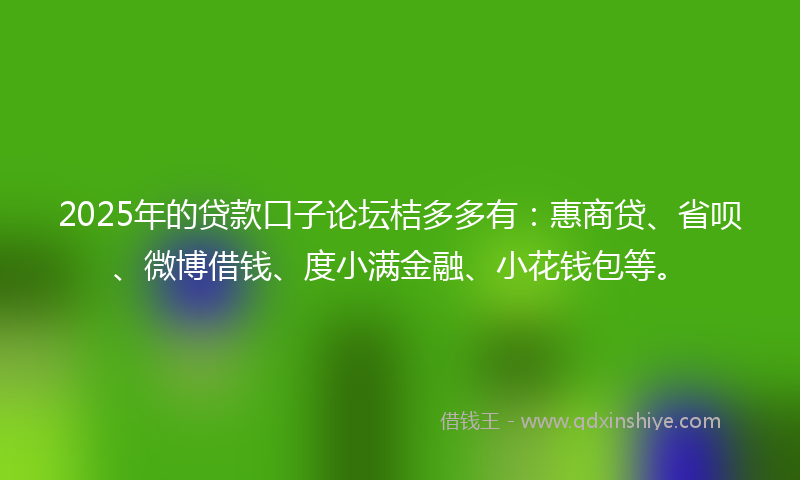 2025年的贷款口子论坛桔多多有：惠商贷、省呗、微博借钱、度小满金融、小花钱包等。