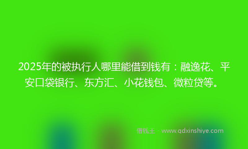 2025年的被执行人哪里能借到钱有：融逸花、平安口袋银行、东方汇、小花钱包、微粒贷等。