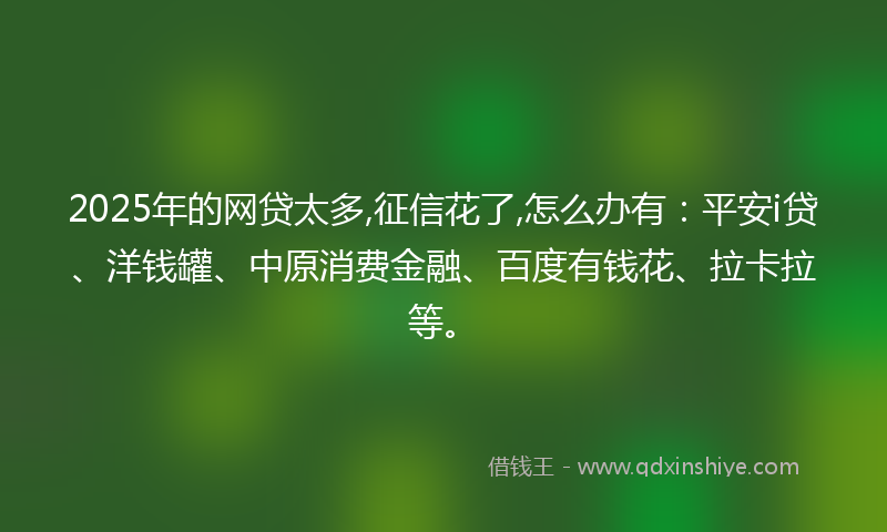 2025年的网贷太多,征信花了,怎么办有：平安i贷、洋钱罐、中原消费金融、百度有钱花、拉卡拉等。