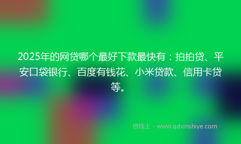 2025年的网贷哪个最好下款最快有：拍拍贷、平安口袋银行、百度有钱花、小米贷款、信用卡贷等。