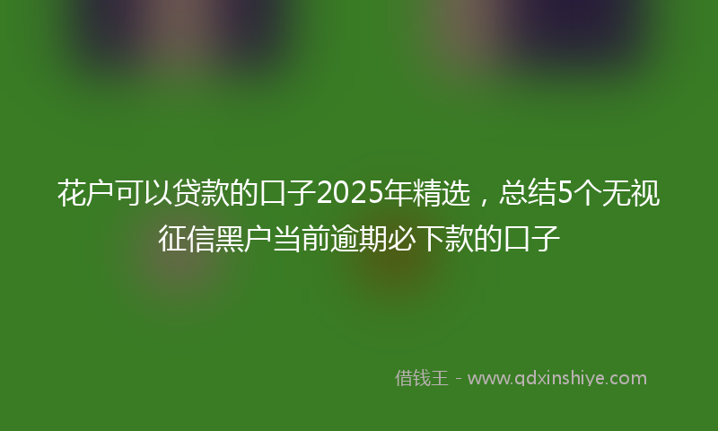 花户可以贷款的口子2025年精选，总结5个无视征信黑户当前逾期必下款的口子