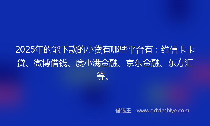 2025年的能下款的小贷有哪些平台有：维信卡卡贷、微博借钱、度小满金融、京东金融、东方汇等。