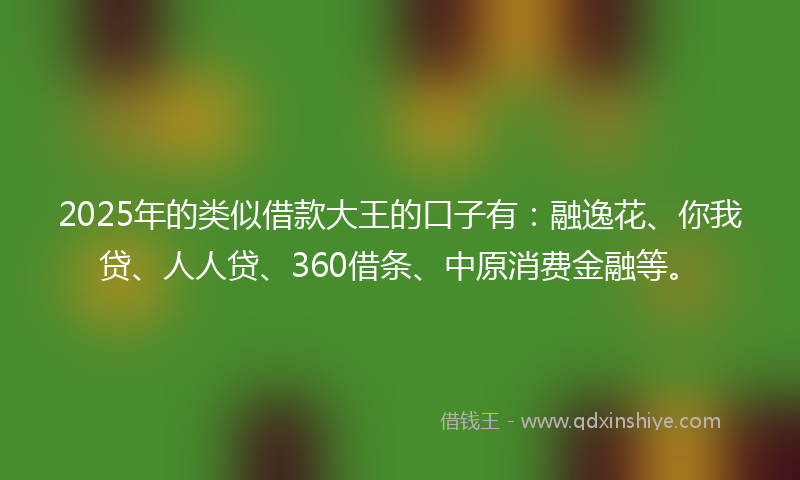 2025年的类似借款大王的口子有：融逸花、你我贷、人人贷、360借条、中原消费金融等。