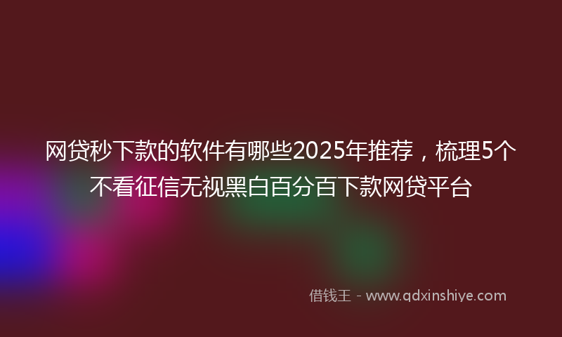 网贷秒下款的软件有哪些2025年推荐，梳理5个不看征信无视黑白百分百下款网贷平台