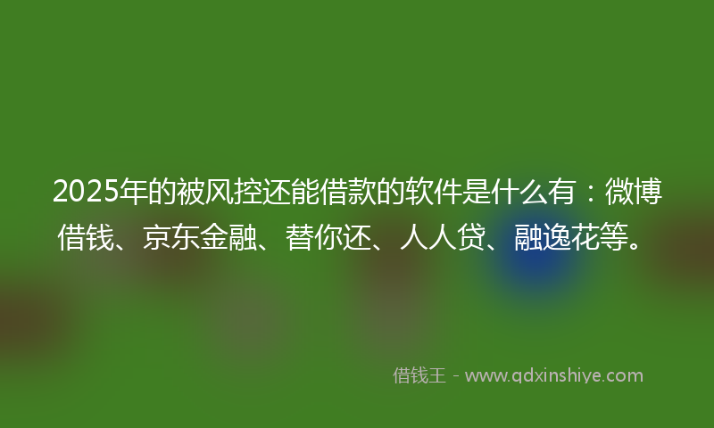 2025年的被风控还能借款的软件是什么有：微博借钱、京东金融、替你还、人人贷、融逸花等。