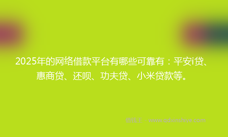 2025年的网络借款平台有哪些可靠有：平安i贷、惠商贷、还呗、功夫贷、小米贷款等。