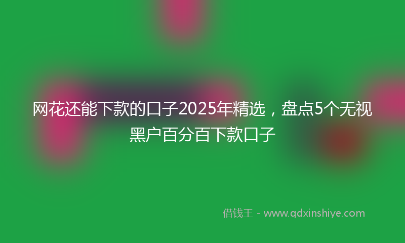 网花还能下款的口子2025年精选，盘点5个无视黑户百分百下款口子