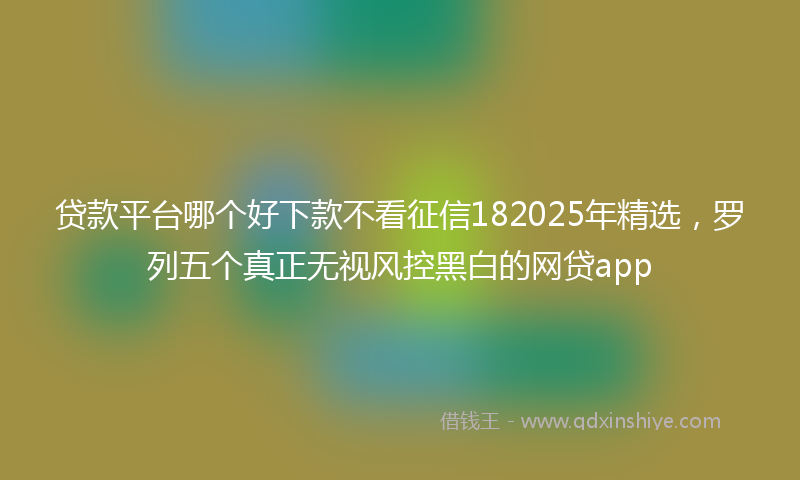 贷款平台哪个好下款不看征信182025年精选，罗列五个真正无视风控黑白的网贷app