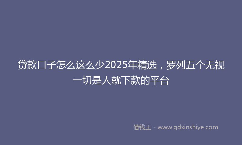 贷款口子怎么这么少2025年精选，罗列五个无视一切是人就下款的平台