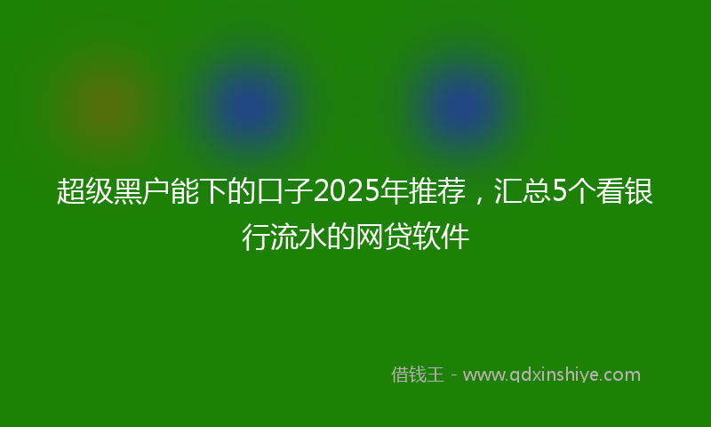 超级黑户能下的口子2025年推荐，汇总5个看银行流水的网贷软件