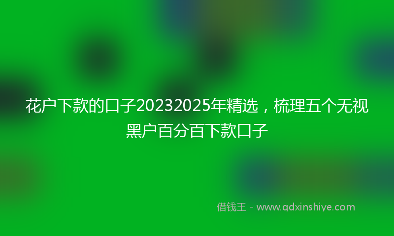 花户下款的口子20232025年精选，梳理五个无视黑户百分百下款口子