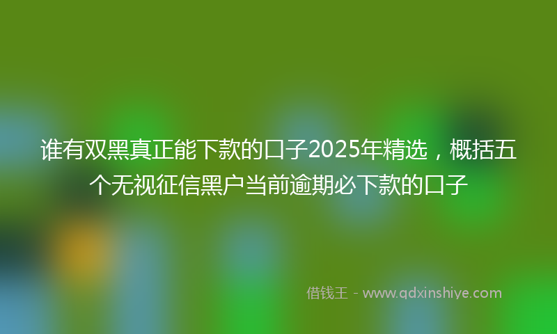谁有双黑真正能下款的口子2025年精选，概括五个无视征信黑户当前逾期必下款的口子