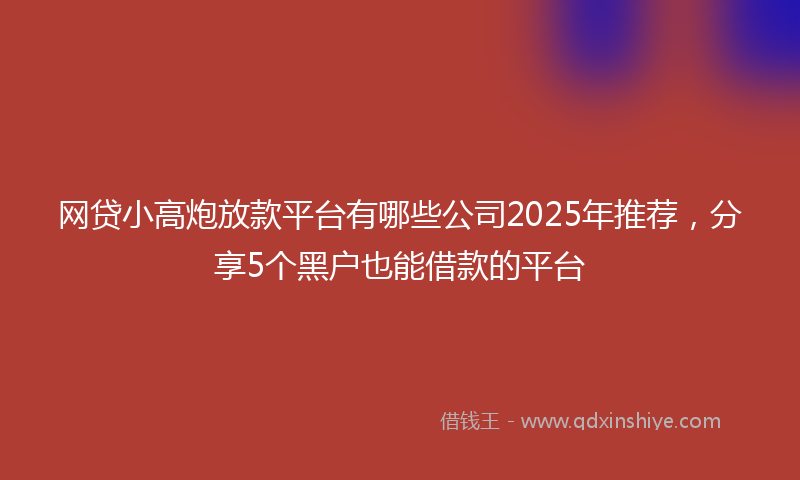 网贷小高炮放款平台有哪些公司2025年推荐，分享5个黑户也能借款的平台