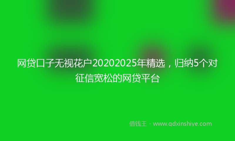 网贷口子无视花户20202025年精选，归纳5个对征信宽松的网贷平台