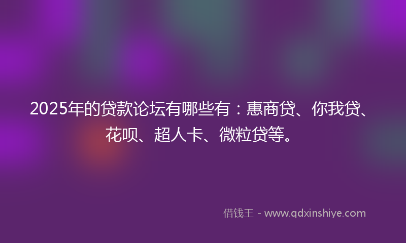 2025年的贷款论坛有哪些有：惠商贷、你我贷、花呗、超人卡、微粒贷等。