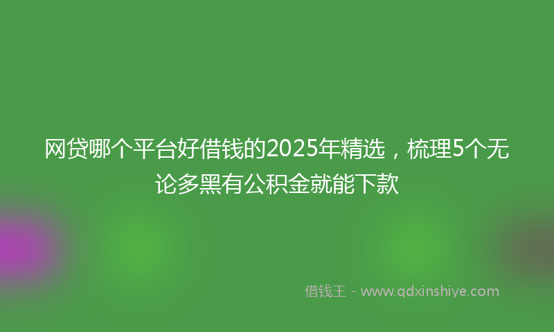 网贷哪个平台好借钱的2025年精选，梳理5个无论多黑有公积金就能下款