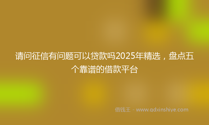 请问征信有问题可以贷款吗2025年精选，盘点五个靠谱的借款平台